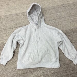 Aritzia TNA Boyfriend Hoodie